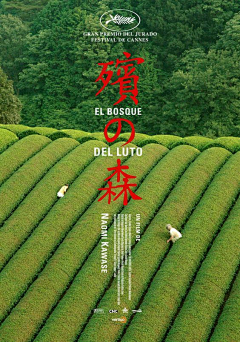 微时采集到文字排版