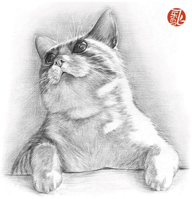 《铅笔素描入门，一本就够了》——铅笔素描...