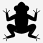 青蛙两栖动物牛蛙 UI图标 设计图片 免费下载 页面网页 平面电商 创意素材