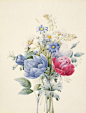 外国经典手绘花卉 (80)
