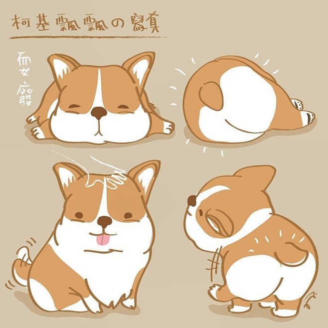 #手绘素材# 萌萌哒胖嘟嘟的柯基了解一下...