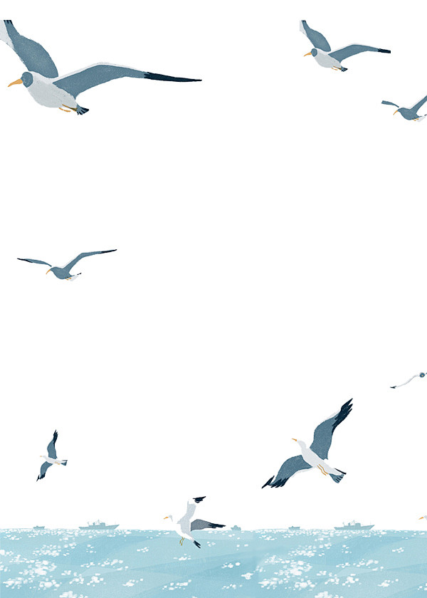 素锦 海鸥 大海  底图插画 手机壁纸