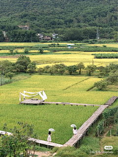 星年采集到童话 结构