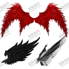 翅膀 【酷图网】翅膀,白色翅膀,黑色翅膀,羽毛翅膀,金色翅膀,天使翅膀,恶魔翅膀,精灵翅膀,素材,装饰,元素,手绘,插画,参考,
