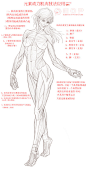 人体肌肉板块的记忆以及运动带来的变化，是我们在角色实战应用中获得美，赖以生存的命脉。@CanceR好好学习中 @元素动力CG