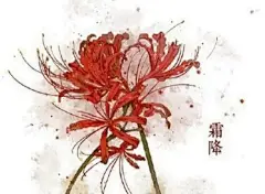 二十四节气对应的花朵 : 1、立春2月3-5日(阴历腊月十六日)：迎春花迎春花与梅花、水仙和山茶花统称为“雪中四友”，当迎春花开放的时候说明离春天也就不远了，这时候天气也渐渐回暖，所以十四节气对应的花...