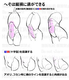 K-TWELVE采集到躯干