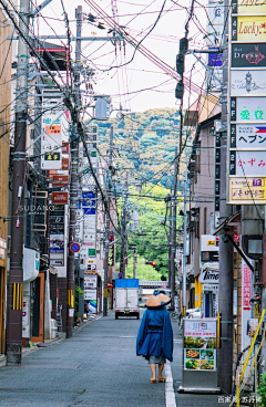 贰里采集到和风