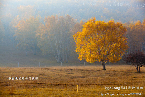 坝上草原，那些美丽的画啊。, 快乐出发的...