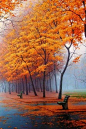 New Wonderful Photos: Breathtaking #采集大赛# #美景#