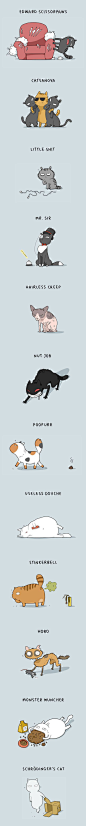 What type of cat do you have? I think mine is the "little shit". (By Lingvistov):