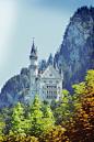 Untitled by (ℒaura-amy)
