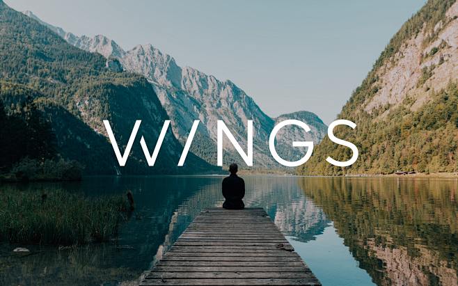 Ah Wings 01