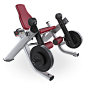 Lifefitness-Fitness-Machine-Leg-Extension-SF08-.jpg (500×500)