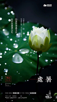 绝对音域采集到图