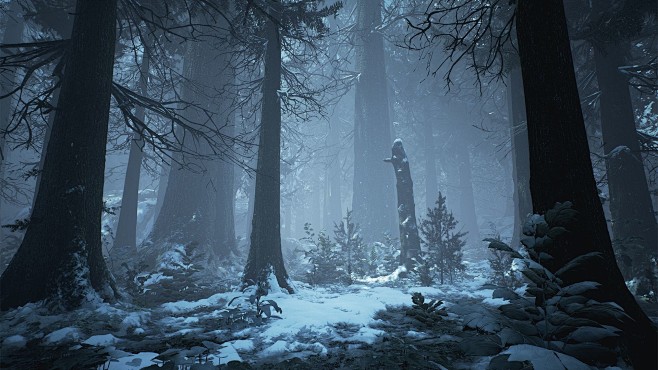 UE4 Winter Forest, W...