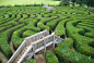 landscape maze - Google 搜索