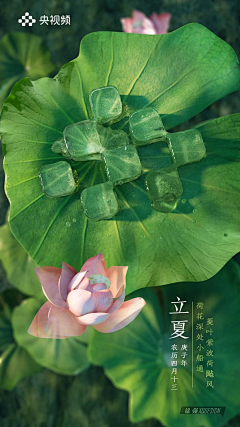 嘻嘻哈哈¥采集到运营【H5】