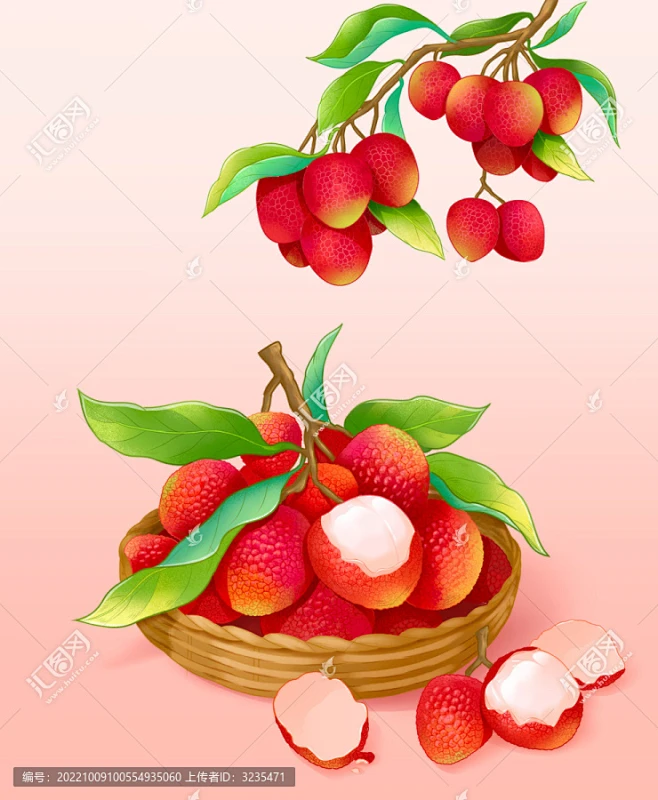 荔枝插画-花瓣网
