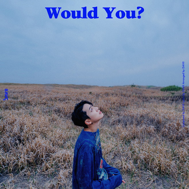 Would You?
歌手：DAVII
...