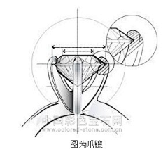 纠结小样采集到工艺结构