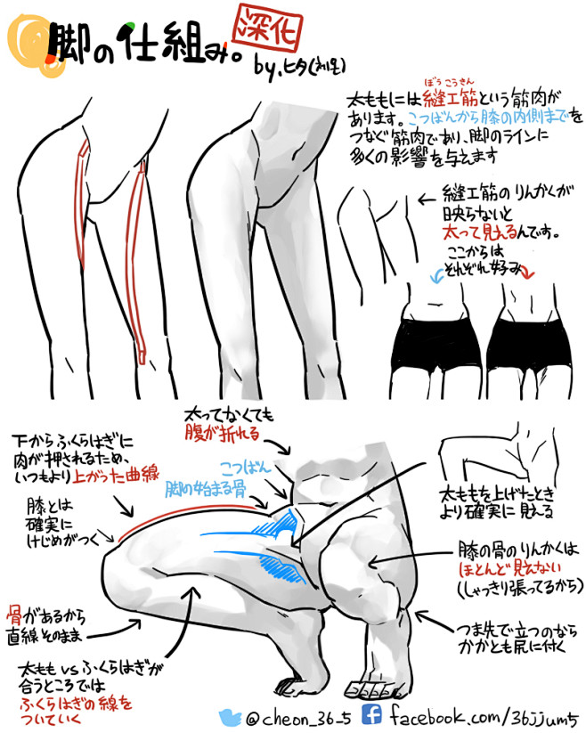 脚の仕組み [2]