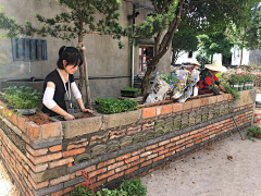 问问will采集到更新