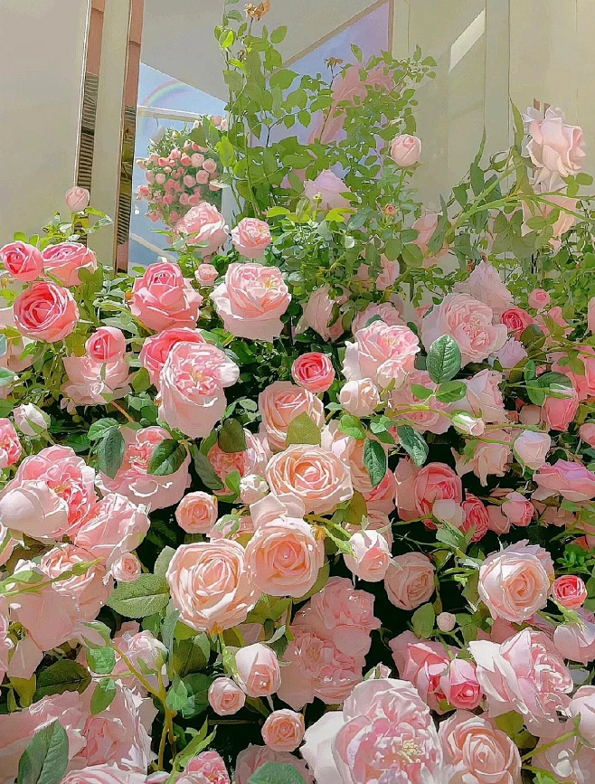 这个花也太美了叭，心情都跟着变好了呢