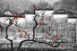 发现二等奖：贾长江---紫金城雪夜 作品拍摄于初雪后的武当紫金城，雾凇披挂，红颜素裹，皓月当空，夜色阑珊，长时间得曝光加上聚光灯补光，将此美景定格
