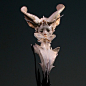 美国艺术家FOREST ROGERS 雕塑作品 #候鸟陶推荐# #设计秀# #雕塑艺术# ​​​​