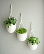 herbs for the kitchen... think I have some pots like this from ikea in the basement somewhere