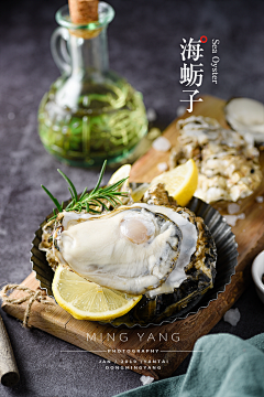 枫叶红时离别采集到灵感图—生鲜水产