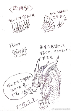 貓薄渮采集到动物