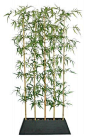 Laura Ashley Silk Bamboo Tree Screen with Contemporary Wood Planter, 8-Feet Laura Ashley http://www.amazon.com/dp/B0052UEG30/ref=cm_sw_r_pi_dp_jc6rvb1JJHWN0: 