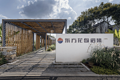 mn……采集到乡村