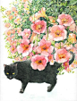 山田绿：水彩纸上的花与猫