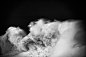 Mare #19 : New images taken in the last couples of winters for my endless serie "Mare".“Mare” is an ongoing project, which I started in 2006. To some extent, the sea has been my guide throughout life and I think of the ocean as both an example t