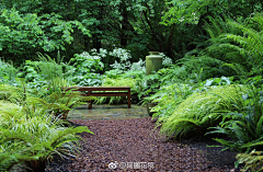 39℃冰封采集到Z—植物设计