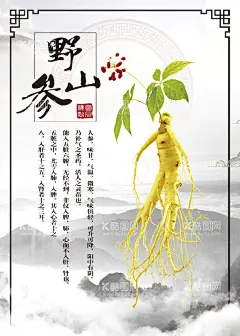 人参   - 源文件下载【酷图网】人参,人参挂画,人参文化,人参海报,人参广告,野生人参,山参,野生山参,长白山人参,土人参,人参画册,正宗人参,野山参,中药人参,野人参,人参花,高丽野人参,人参展板,人参挂图,长白山参,东北人参,东北野山参,中药,千年人参,人参功效,人参DM单,人参传单,人参宣传单,