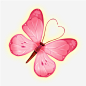 粉色蝴蝶动物元素素材