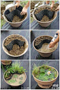 #园艺小tips#高手教你怎样用旧花盆变小荷塘。
