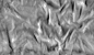 FabricWrinkled006_DISP_HIRES