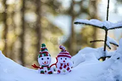 两个有趣的小玩具娃娃雪人在编织的帽子和围巾在深雪户外附近的松树树枝。新年快乐，并附上圣诞贺卡。