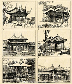 MNXIE采集到场景物件——植物/石头