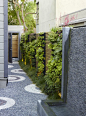 Green walls warm up the side alley in a San Francisco landscape designed by Monica Viarengo: