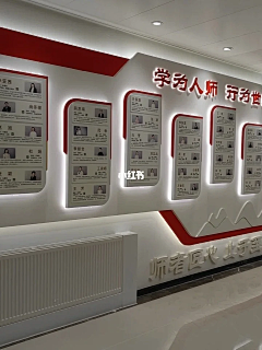 ALIN-L采集到展示类