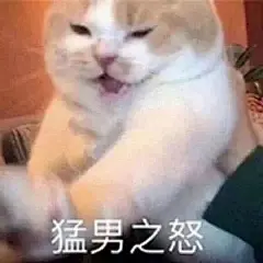 沙雕表情包更新，拿图互动

好心动，好想买
猛男之怒
假装自己很合群
本爸爸不想看见你
还真拿自己当回事了...展开全文c