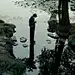暮蜻色 - 阿丽丽 ☀ - CNU视觉联盟