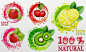 创意新鲜水果矢量素材 #水果# #料理# #酒水# #食谱# #icon#