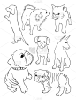 狗,线条画,轮廓线画,插画,轮廓,可爱的,直的,忠诚,创造力,信任